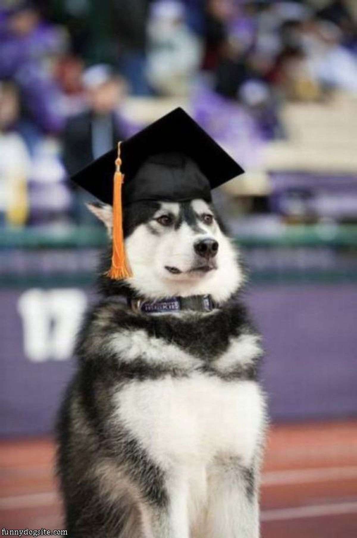 Help, I'm a Sophomore Already Afraid Of Graduating