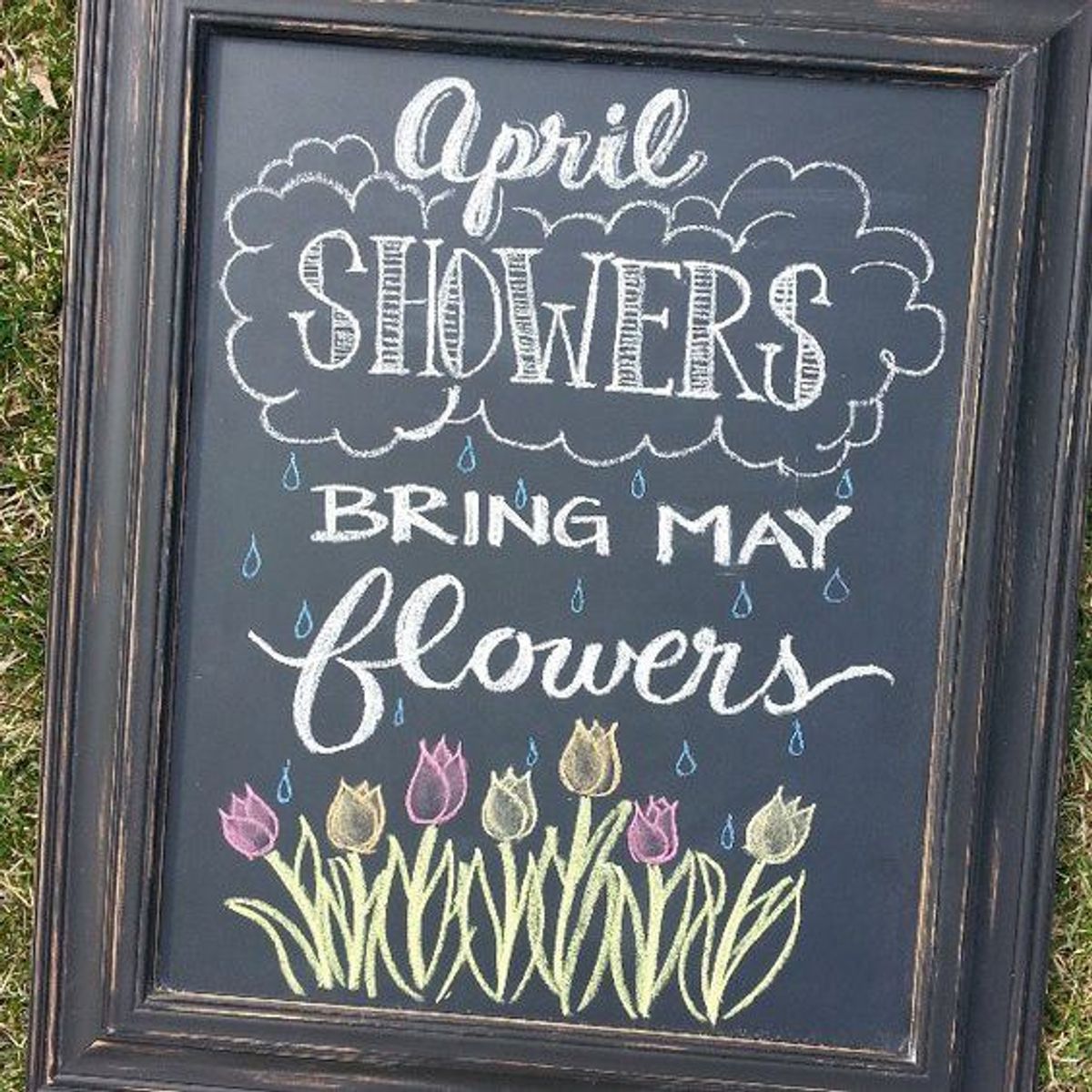 Do April Showers Really Bring May Flowers?