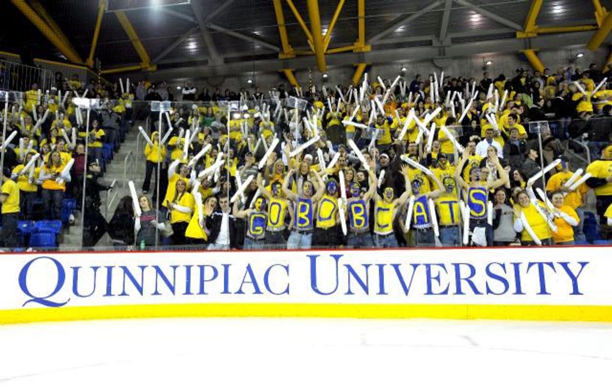 10 Types Of Fans At A Sporting Event