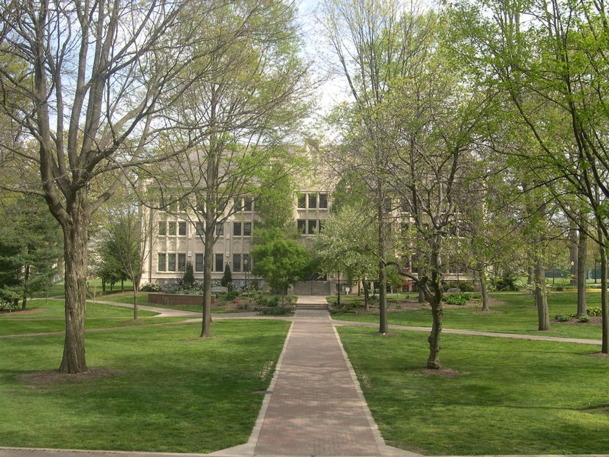 Campus Traditions Make The Year Better