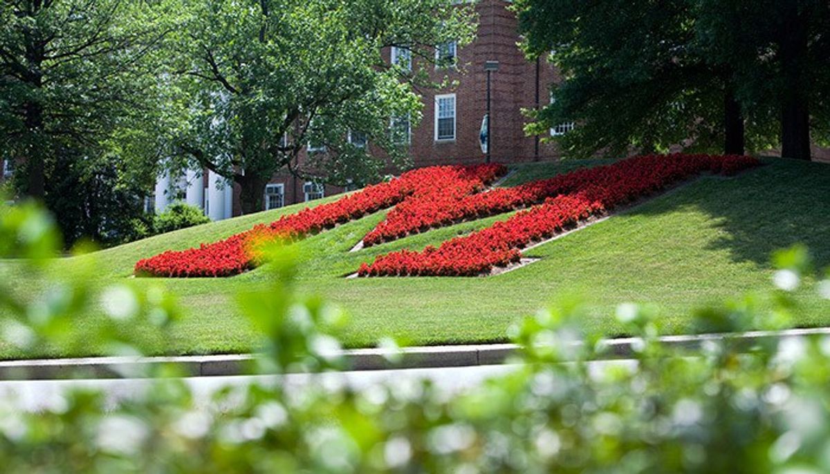 24 Reasons to Attend UMD Next Fall