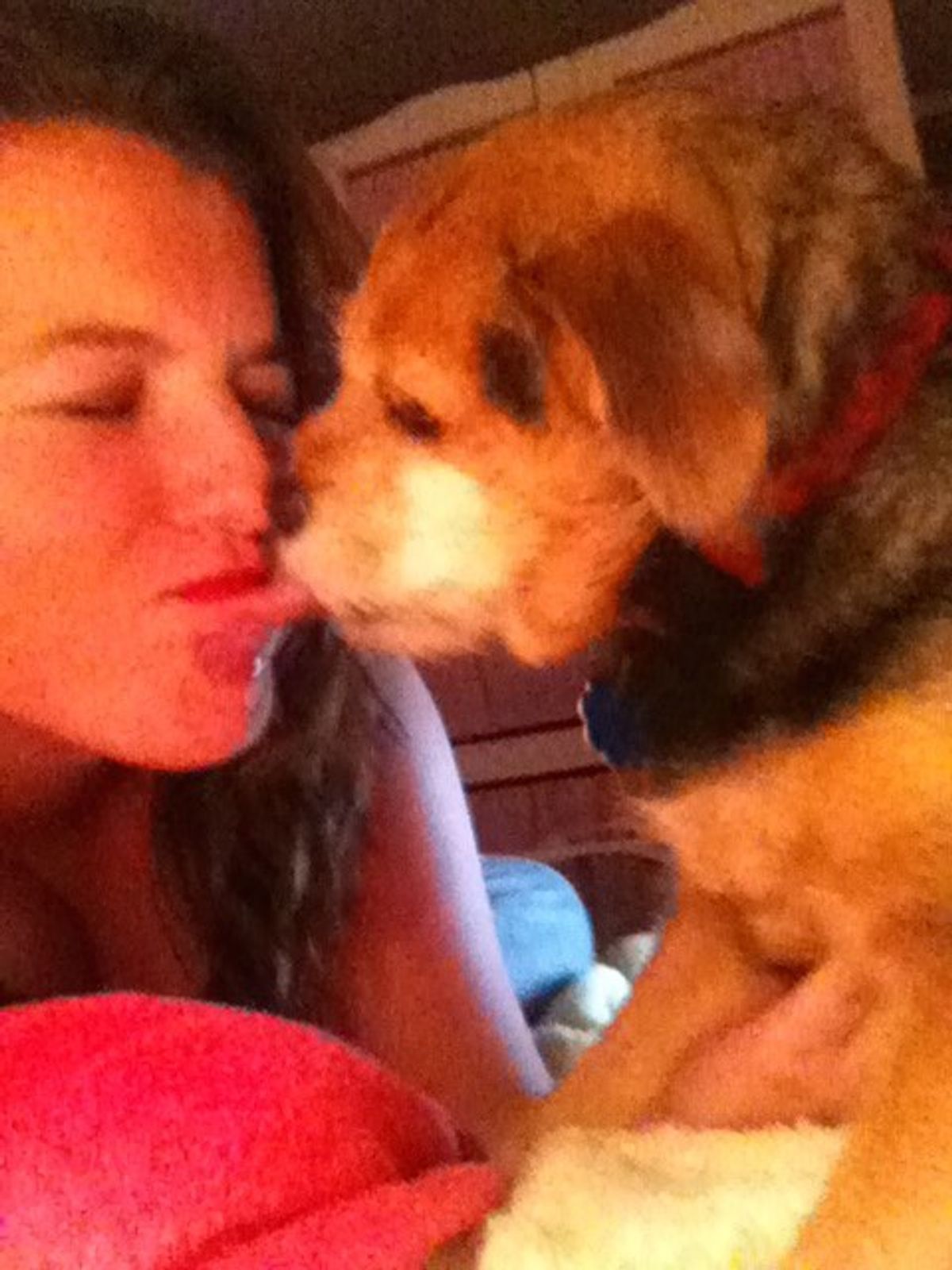 Why My Dog Is My Inspiration