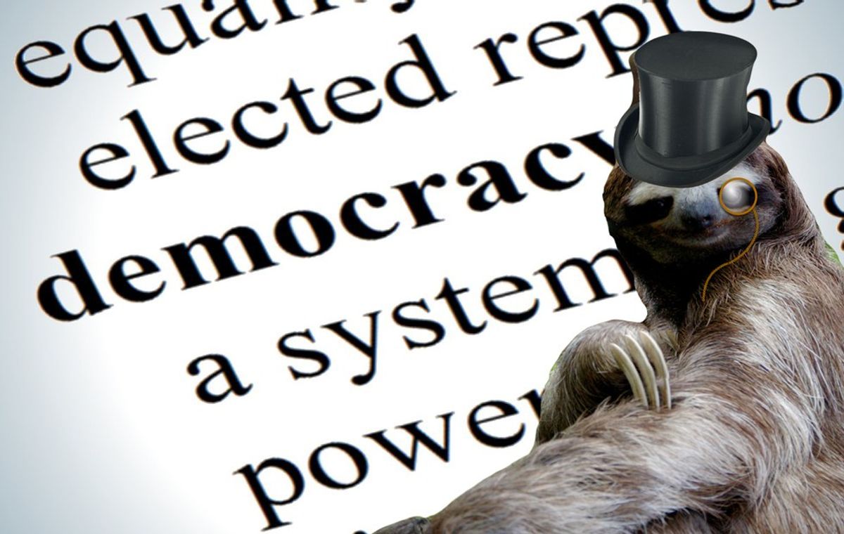 The Three-Toed Sloth Known As Democracy And Why It Sucks
