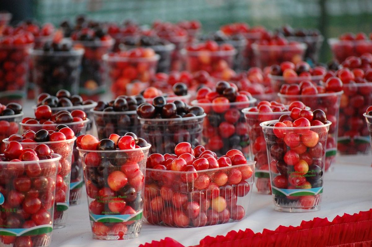 Traverse City's National Cherry Festival By The Numbers