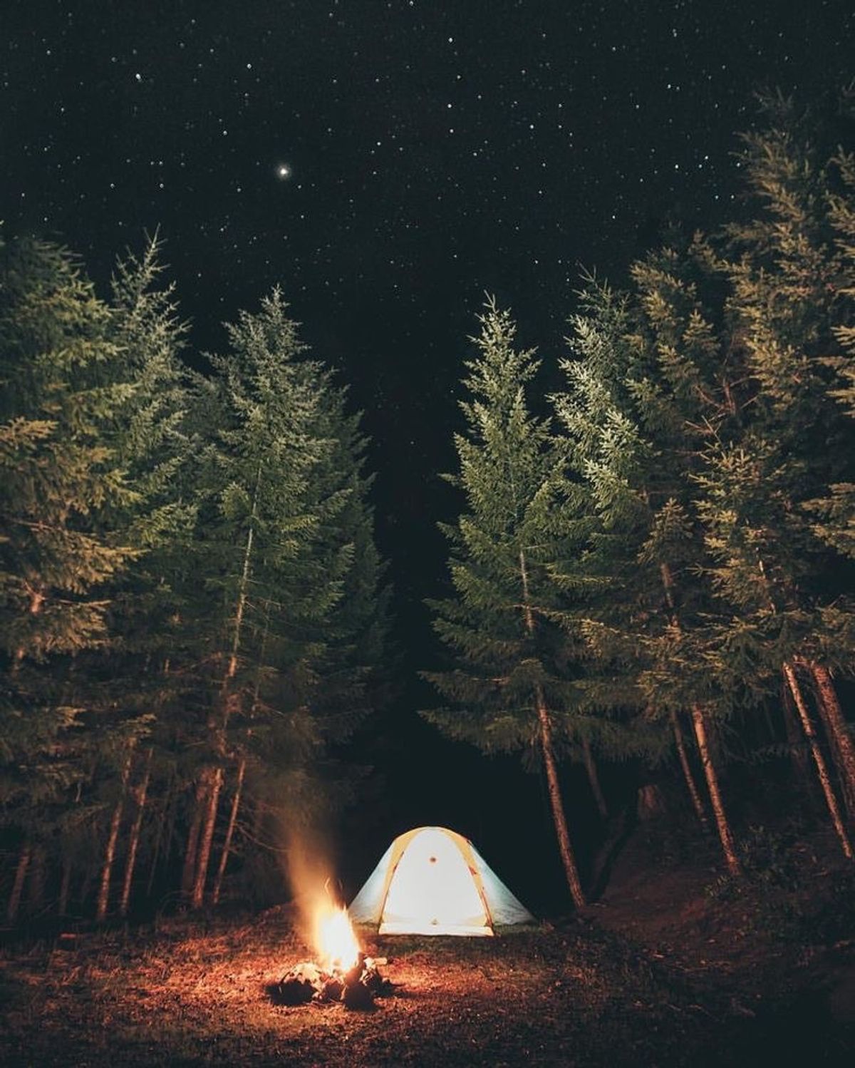 6 Reasons Your Next Vacation Should Be Camping