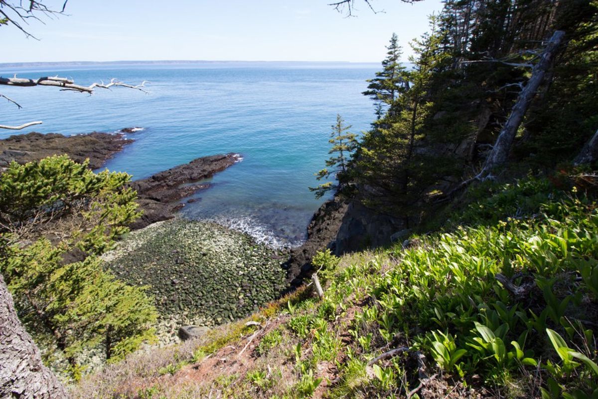 5 Quality Hikes In Downeast Maine