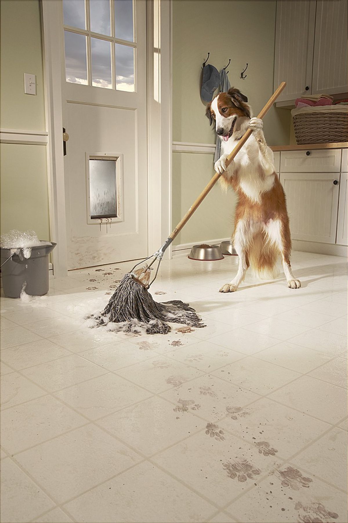 What Are The 7 Stages Of Cleaning