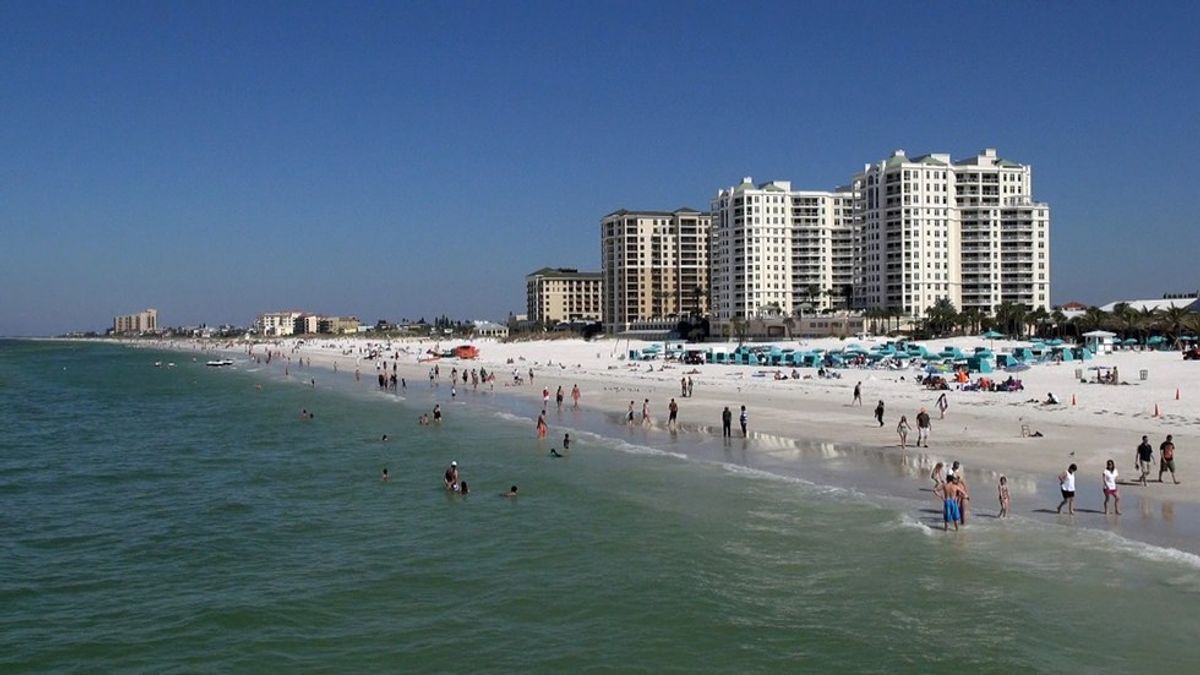 Growing Up In Clearwater, FL