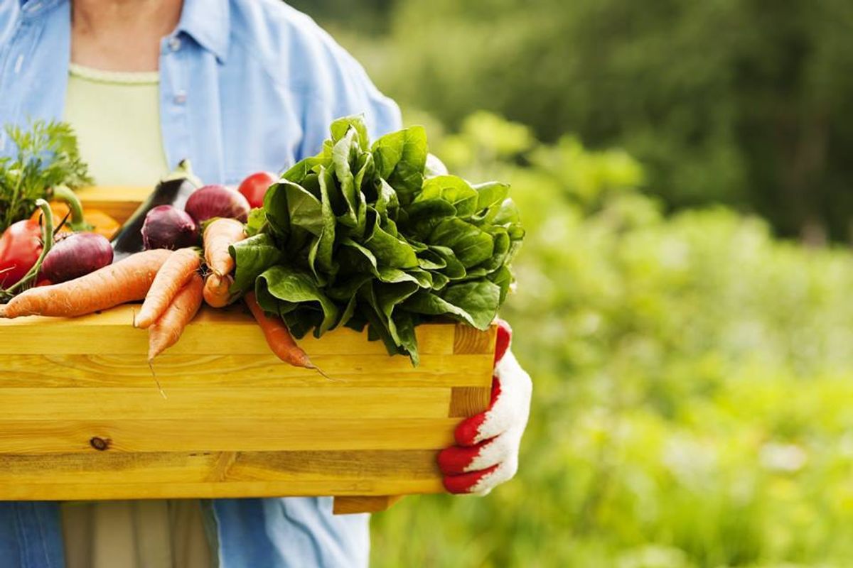 3 Reasons Why Every College Student Should Grow Their Own Food