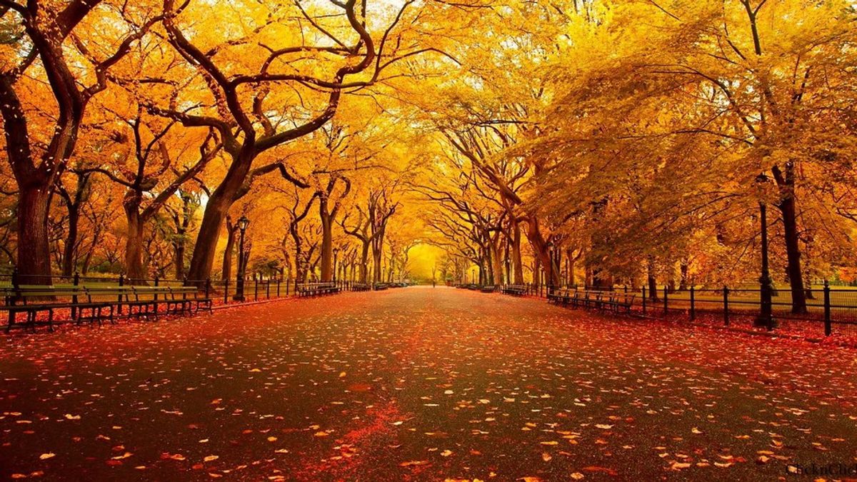 9 Reasons Why Fall Is The Best Season