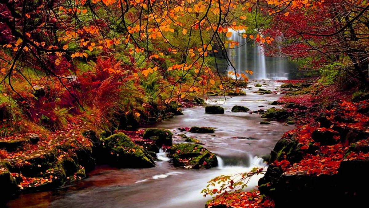 10 Ways To Fall Into The Autumn Spirit