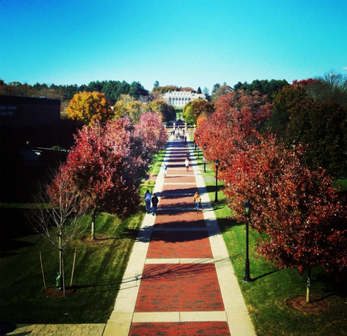 The Best Things About Stonehill During The Fall