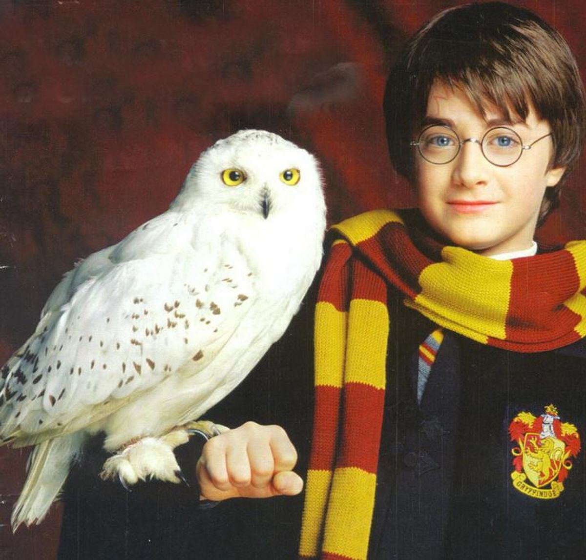 What It's Like To Read Harry Potter At 21