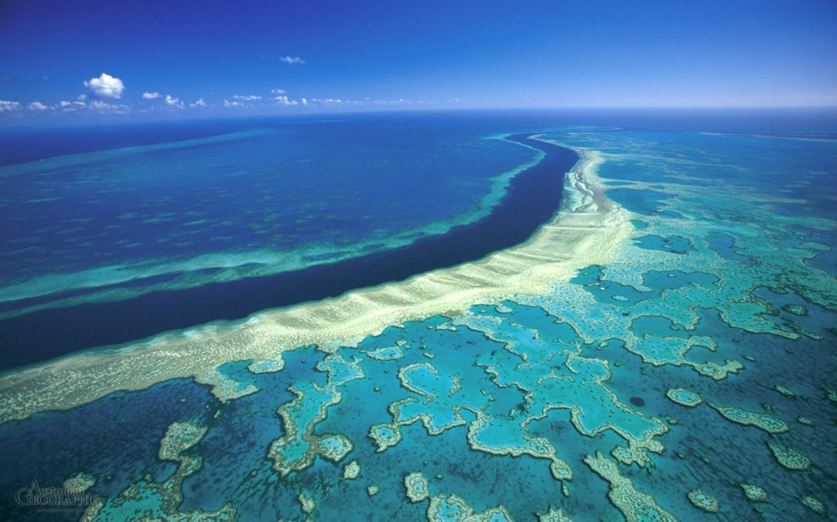 It's Not Time To Give Up On The Great Barrier Reef