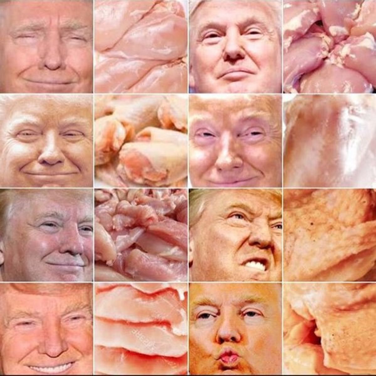 Donald Trump or Raw Chicken?