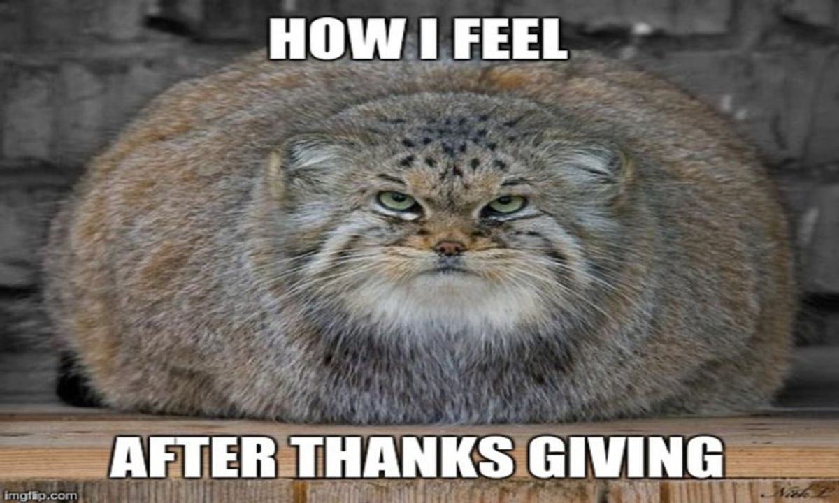 11 Memes To Commemorate Surviving Thanksgiving