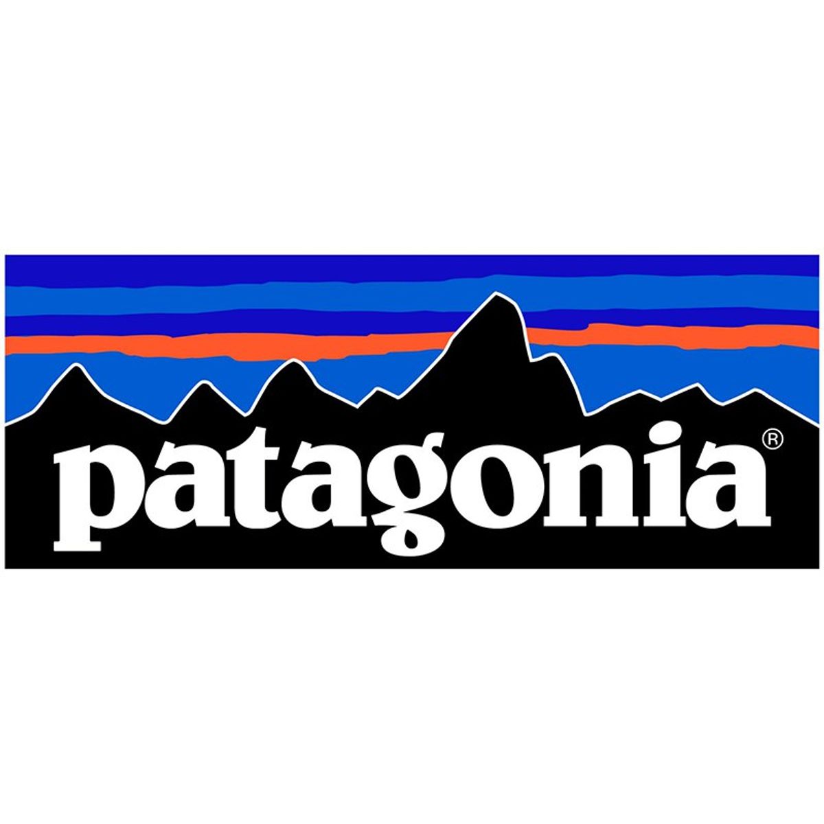 Clothing Company Patagonia Donates 100% Of Black Friday Sales