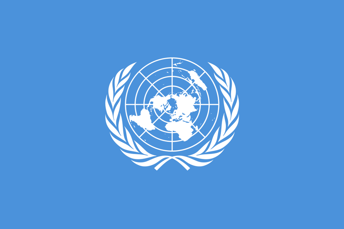 The Basics Of The United Nations