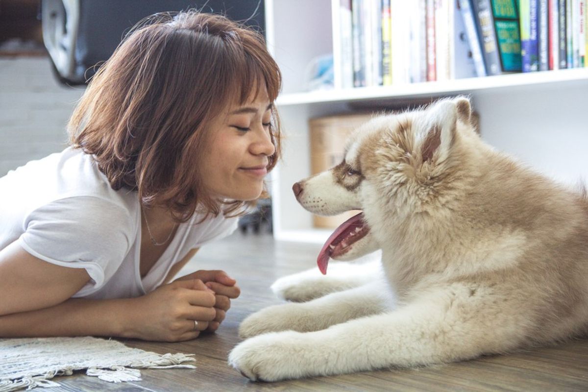 3 Things You Wish You'd Thought Of Before Getting A Pet In College