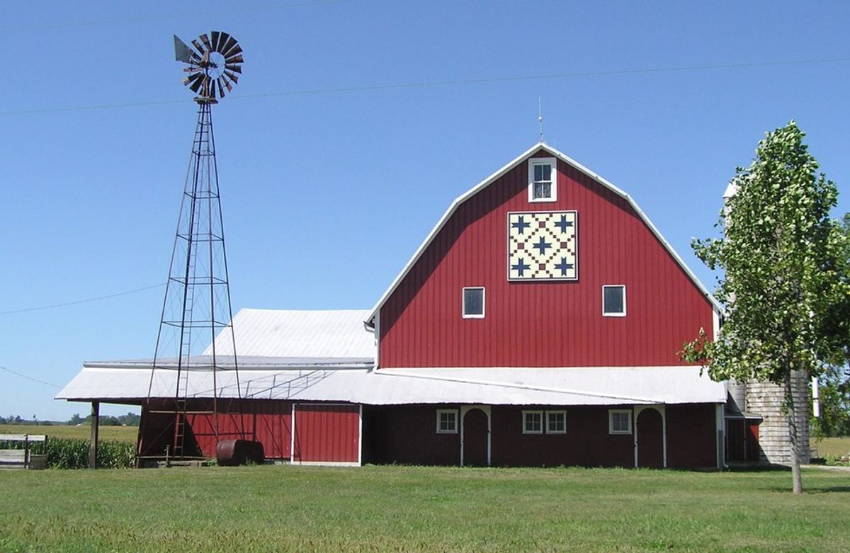 10 Signs You Grew Up In A Barn