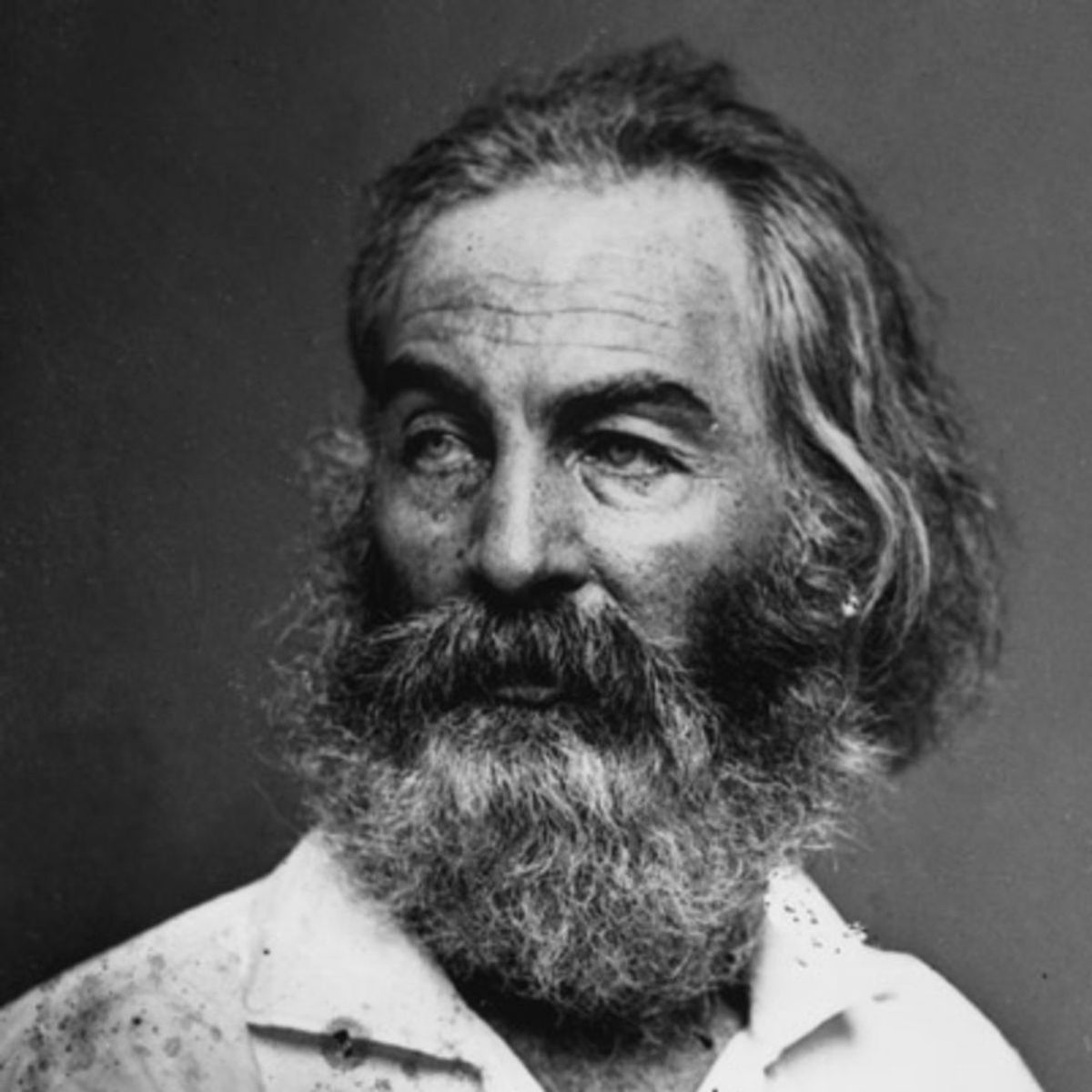7 Quotes From My Man, Whitman