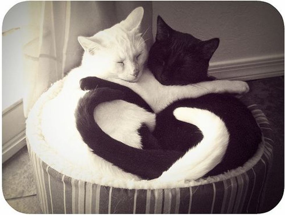Love in Black and White