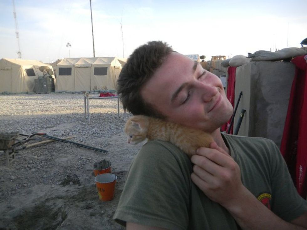 Kitties Rescued by US Marines in Afghanistan