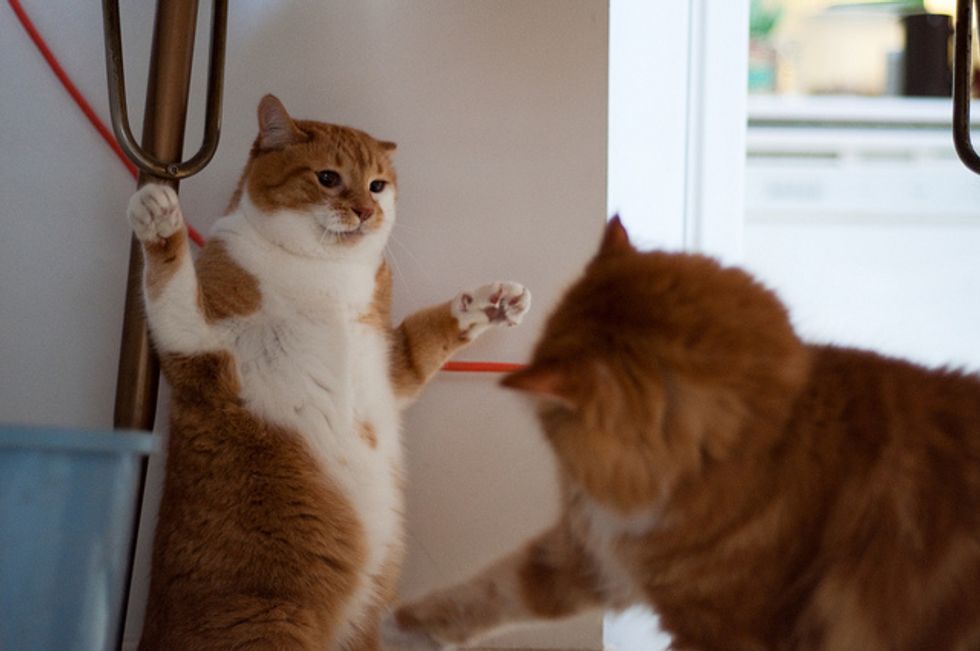 You Missed Me!