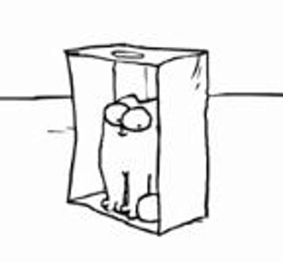 Simon's Cat in 'The Box'