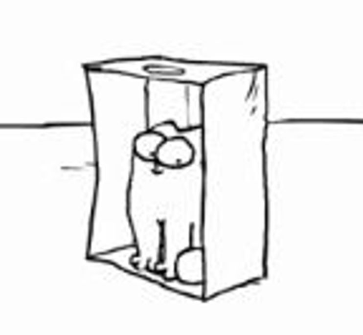 Simon's Cat Offers an Amusing Animated Guide to the Type of Boxes