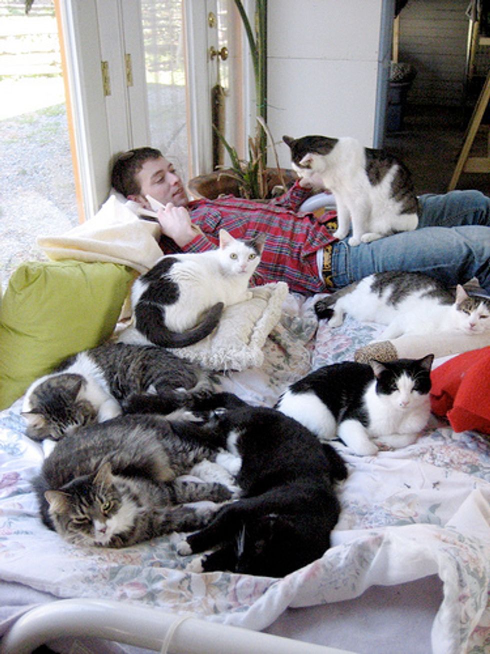 The Goathouse Refuge, CageFree Cat Sanctuary Love Meow