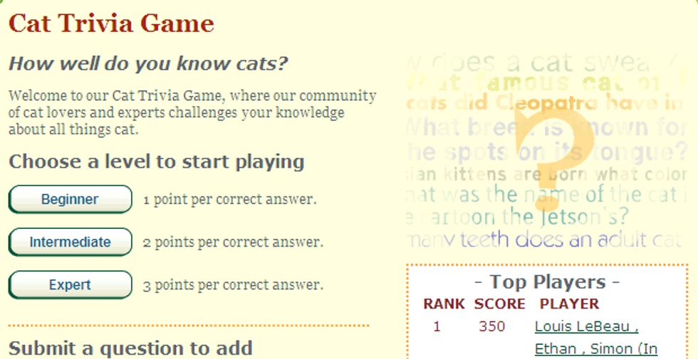 Cat Trivia Game