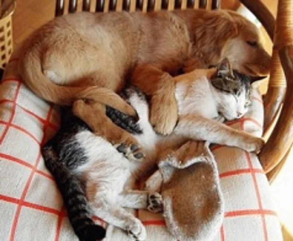 Had a Bad Day? I Have a Solution for You.