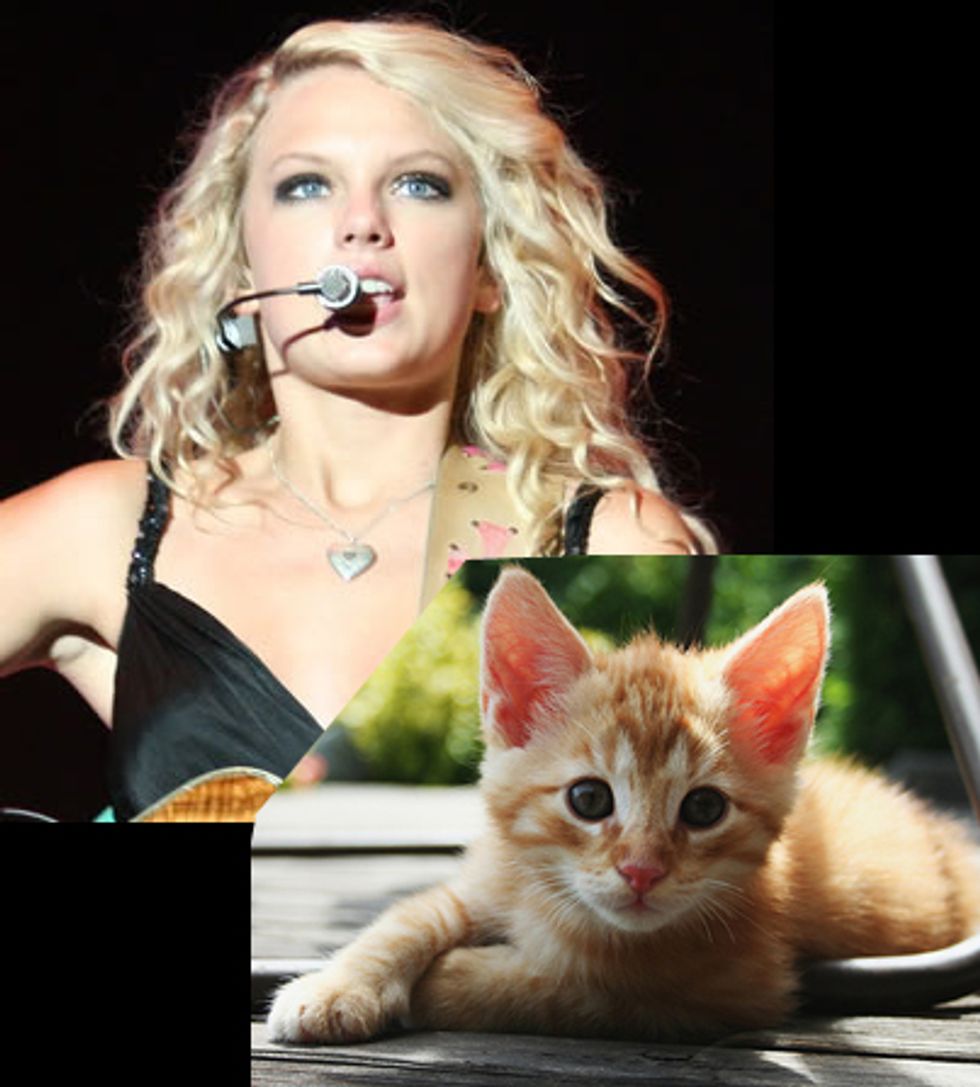 Kittens and Craisins - Taylor Swift's Cold Remedies