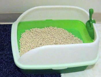 Breeze cat litter hotsell