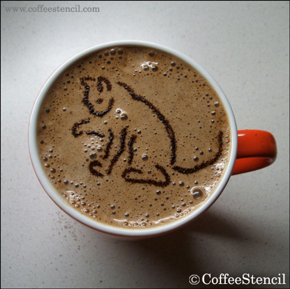 Cat Decorated Latte and Cappuccino