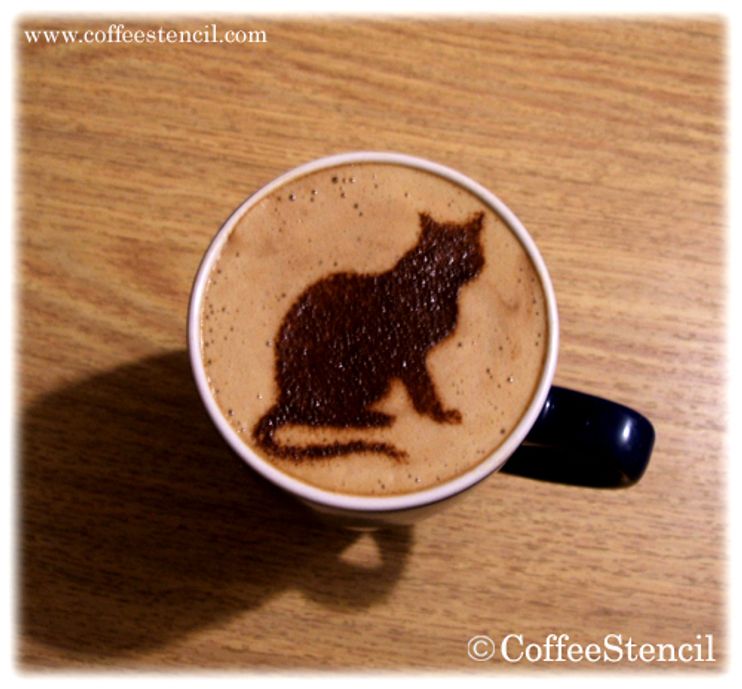 coffee foam cat