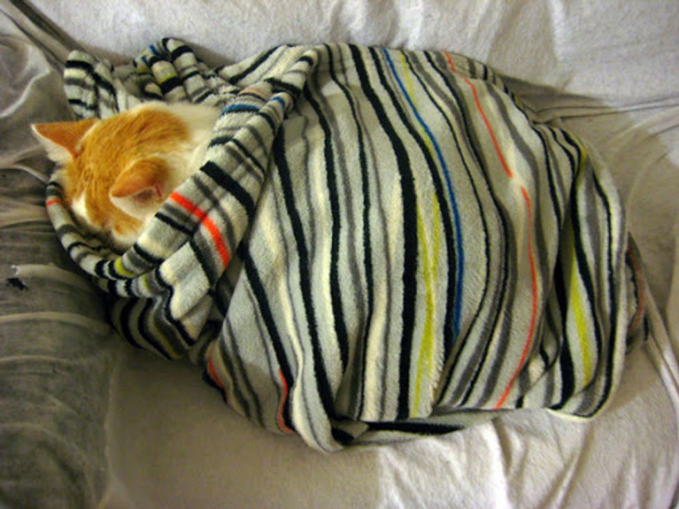 Cozy Sleeping Tactics