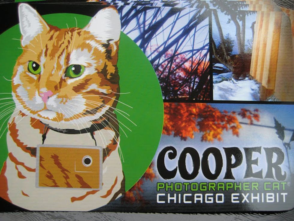 Cooper Magnet Giveaway Contest