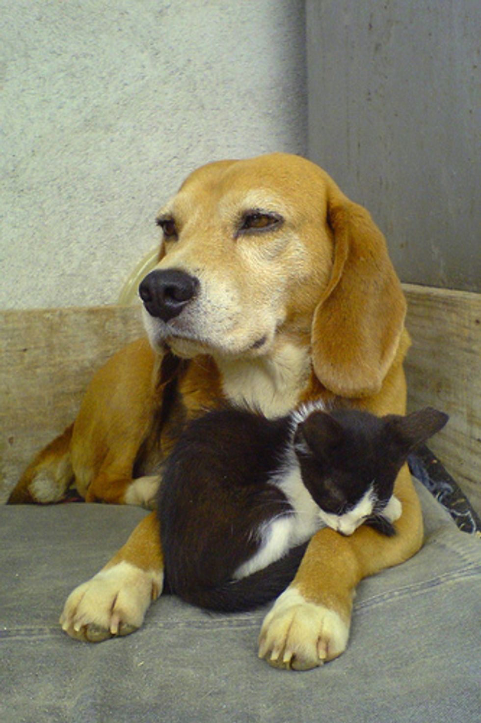 Moms Come in All Shapes and Sizes