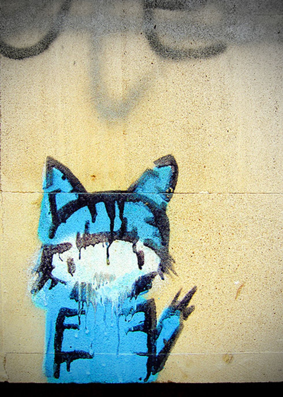 Cat Graffiti Love Meow