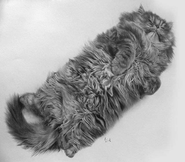 These Realistic 3D Drawings Might Make You Scratch Your Eyes | Bored Panda