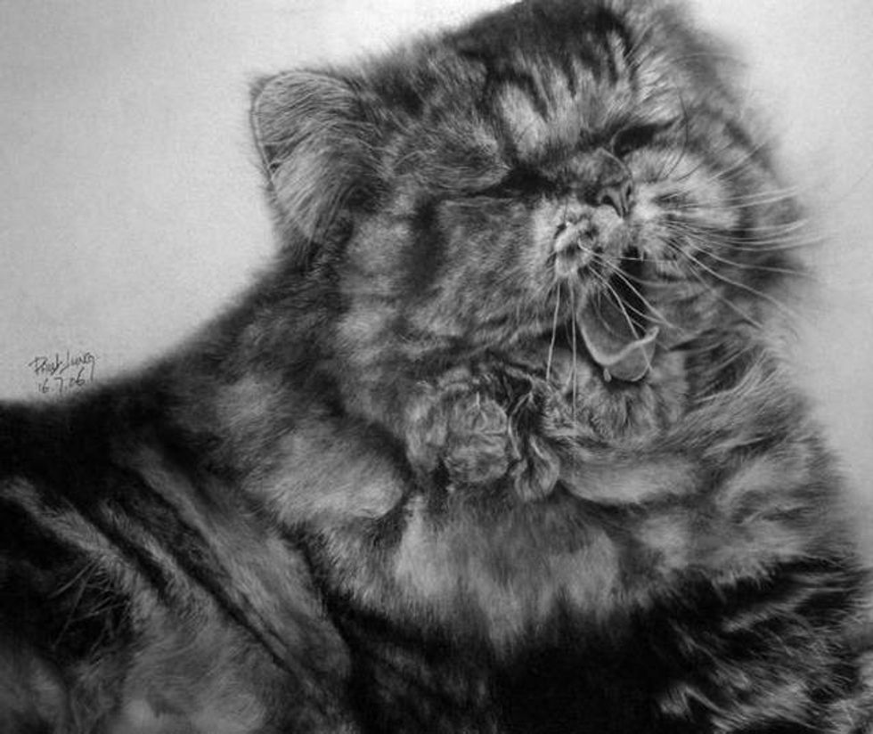 Amazing Pencil Drawings Of Cats Love Meow 