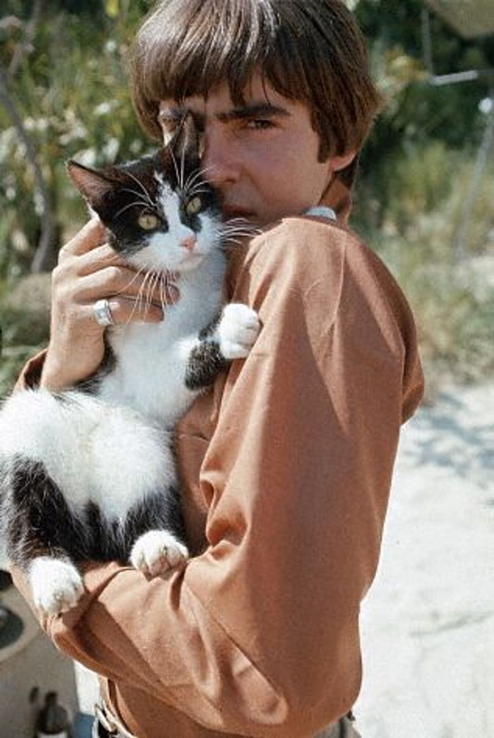 Famous People And Their Cats Love Meow