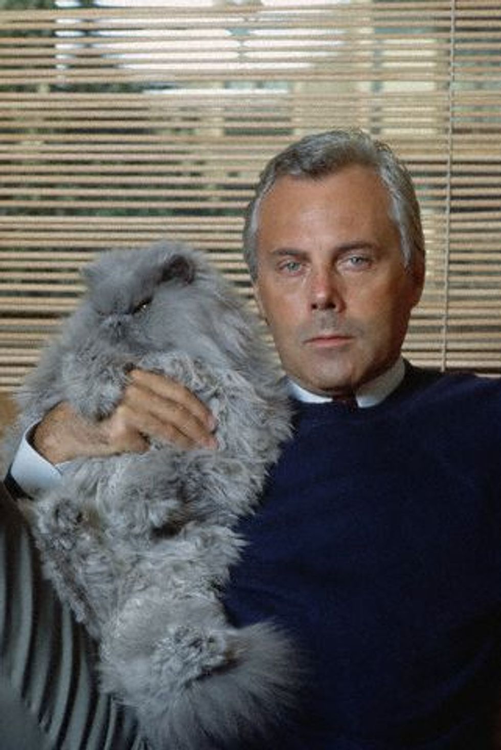 Famous People and Their Cats - Love Meow