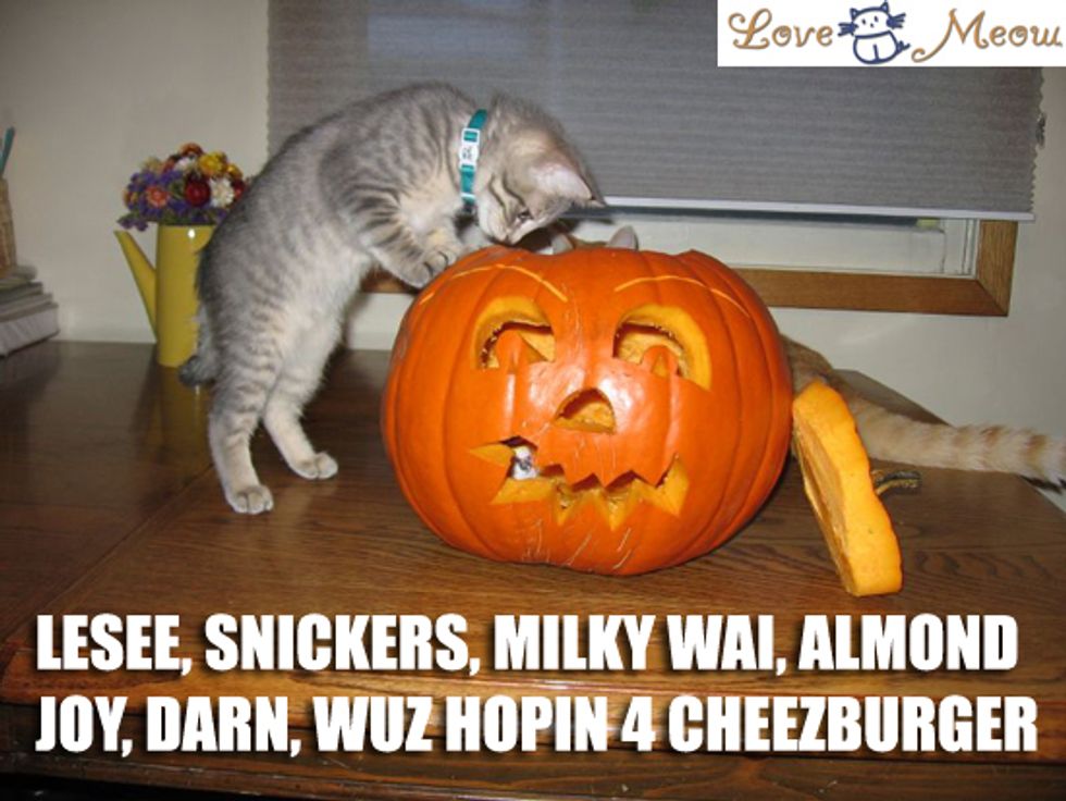 Add Lolcat Captions