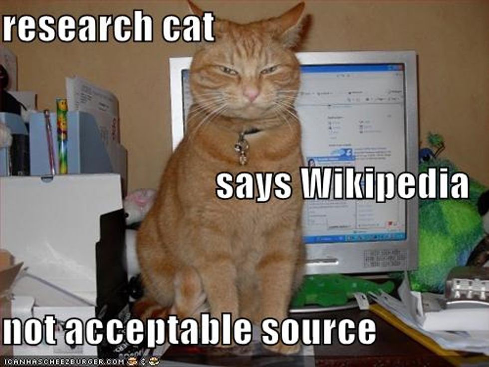 Smart Cats Cheezburger Time