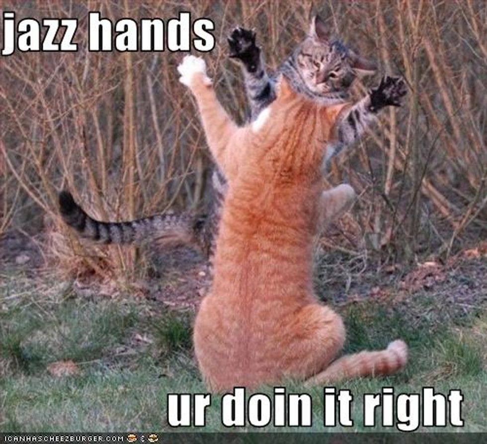 Lolcat Cat and Kitten Jazz Hands Edition Love Meow