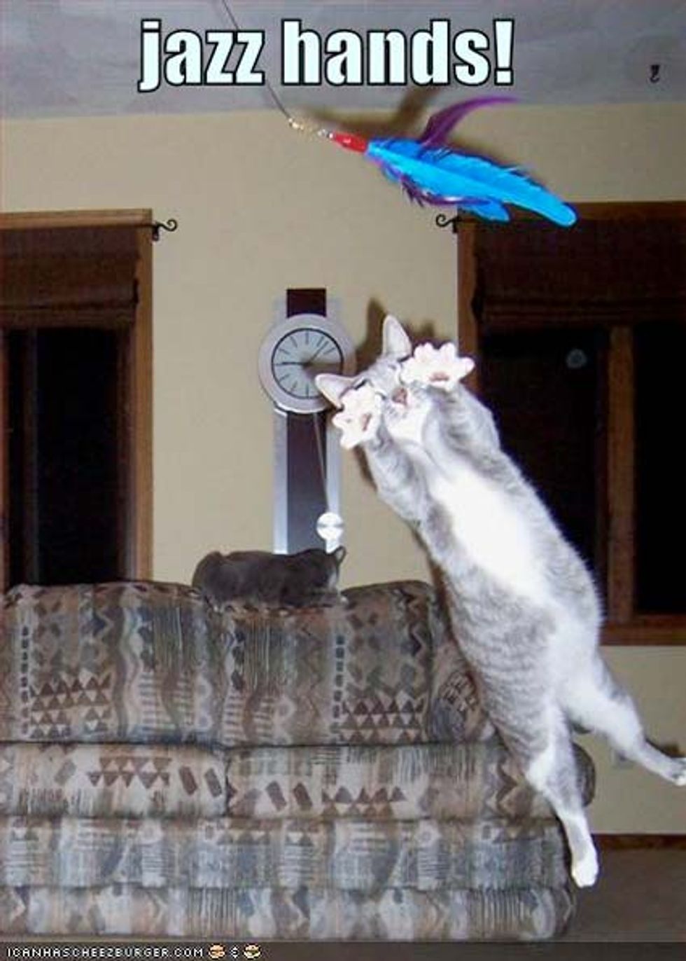 Lolcat Cat and Kitten Jazz Hands Edition Love Meow