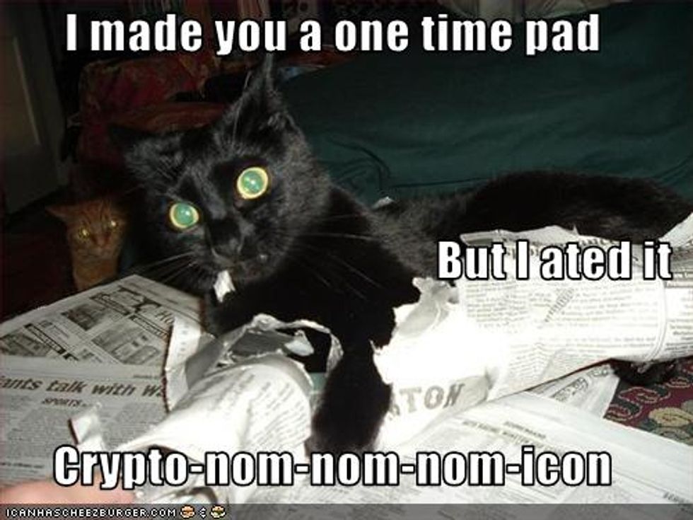 Cheezburger Time Kitten Says Nom Nom Love Meow Cheezburger Time Kitten Says Nom Nom Love Meow